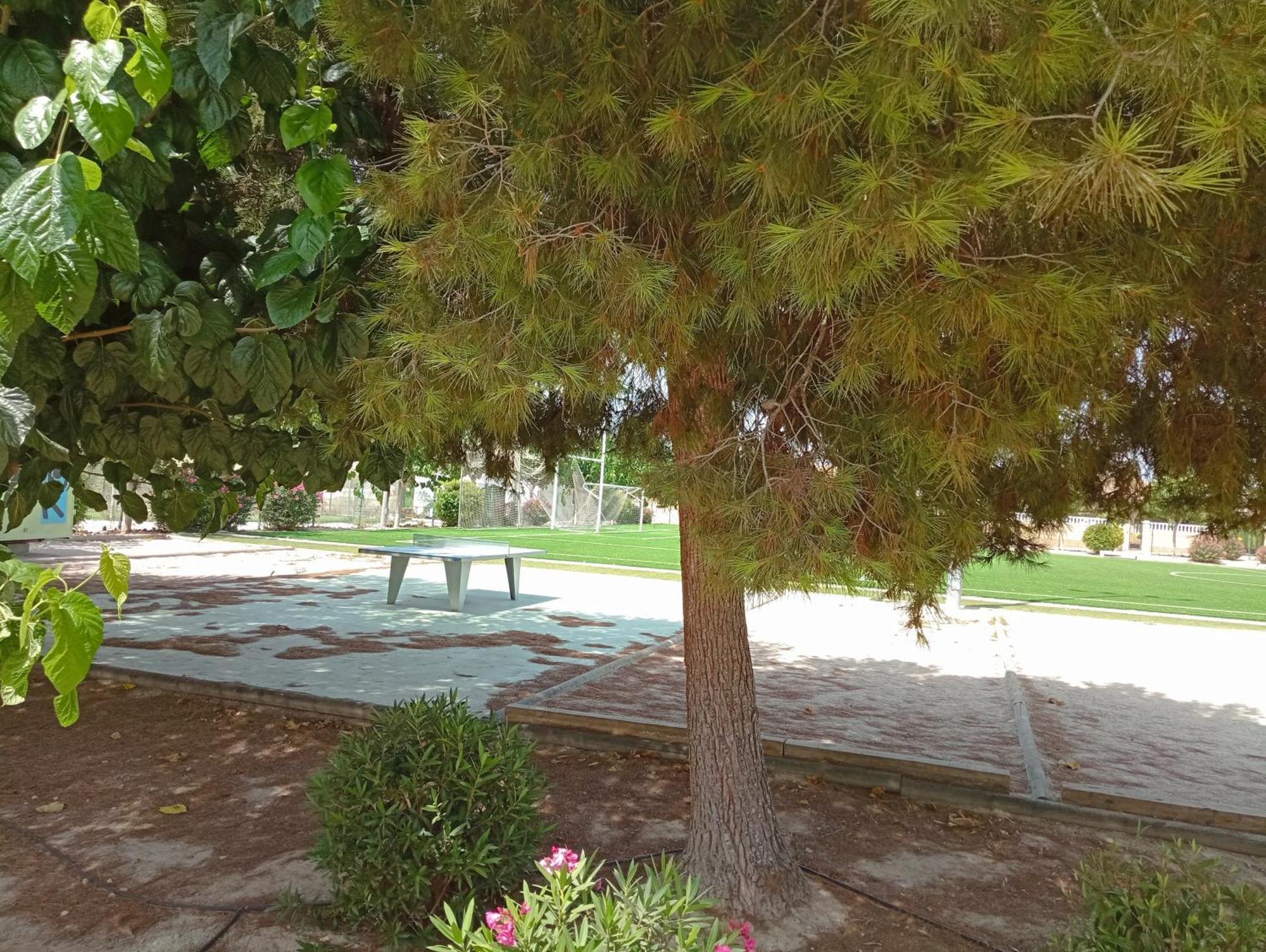 San Fulgencio B&B Sensaltro المظهر الخارجي الصورة